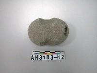 藏品(中砝碼型石網墜)的圖片